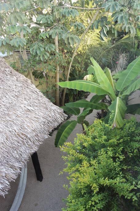 Jungla Bacalar Apartment Exterior photo