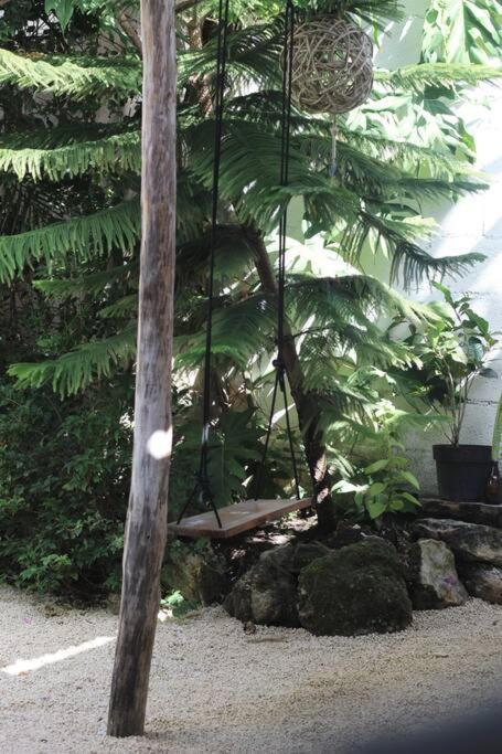 Jungla Bacalar Apartment Exterior photo